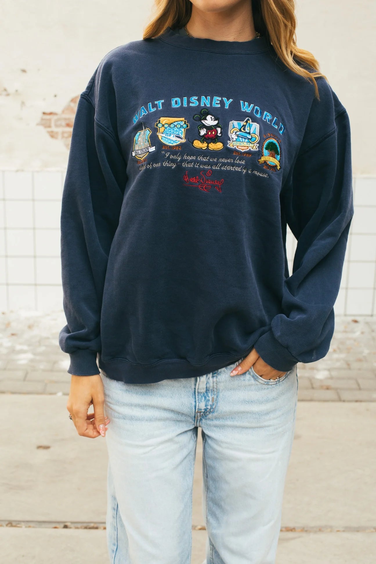 Disney - Sweatshirt (L)