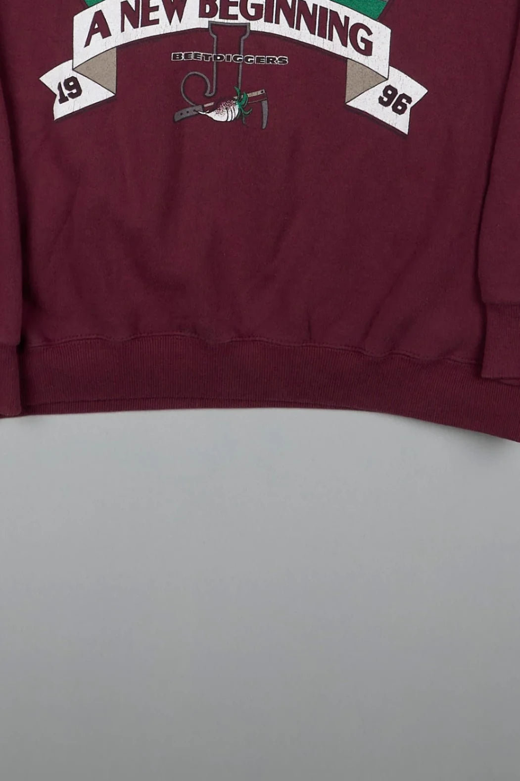 Lee - Sweatshirt (L) Bottom