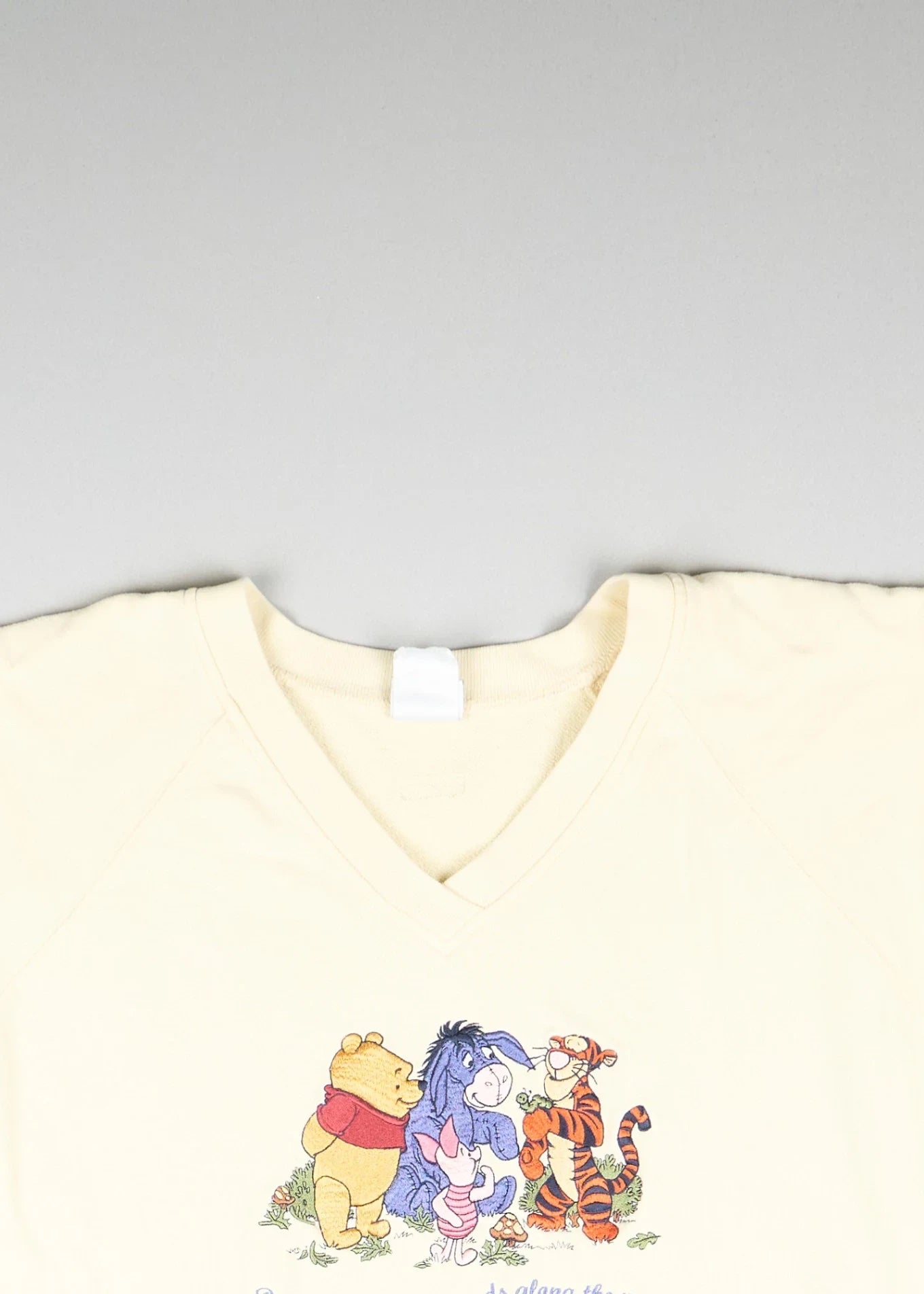 Disney - Trui (XXL) Top