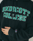 Champion X Endicott College - Hoodie (M)